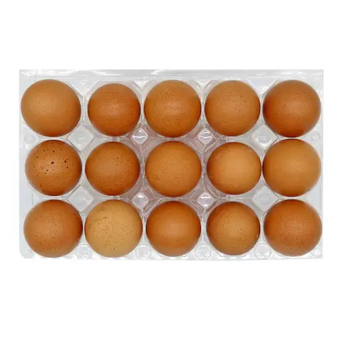 Gattfarm Fresh Egg X15