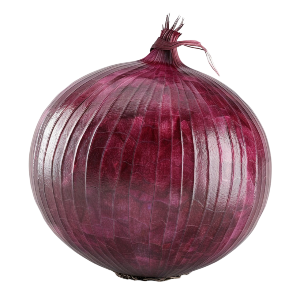 Red Onion /Kilo