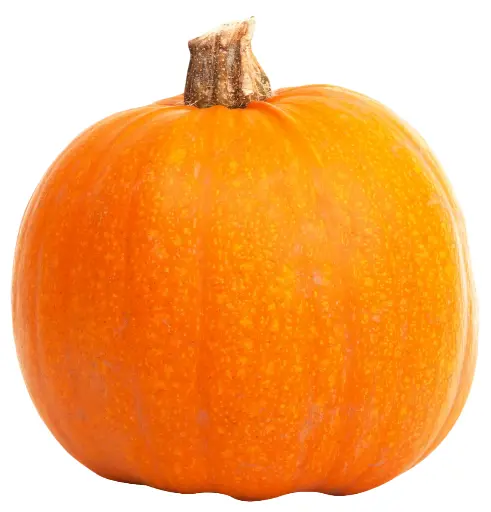 Pumpkin