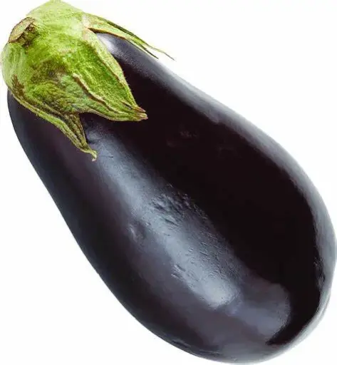 Fresh Eggplant Per Kilo