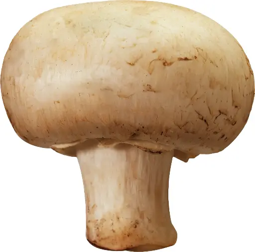 Fresh Mushroom, 1Kg
